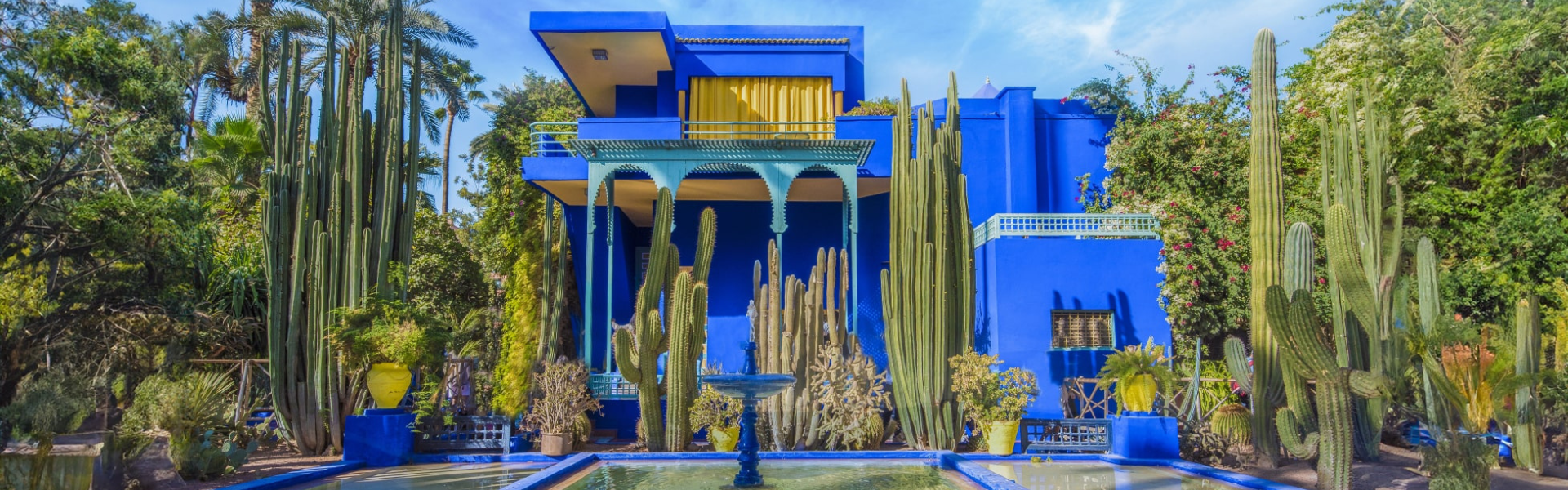 A bright blue building surrounded by cacti in Morocco 