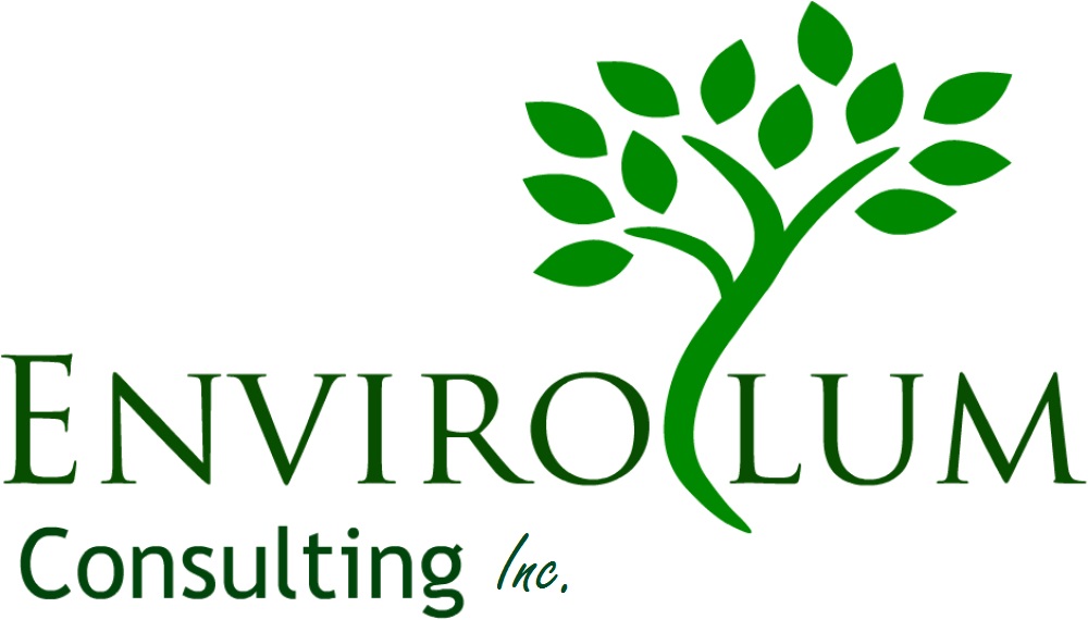 Envirolum Consulting Inc. 