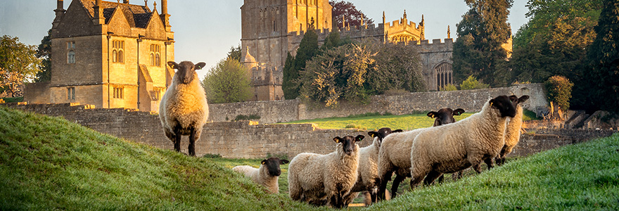 cotswolds escape banner