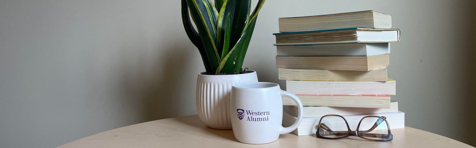 A stack of books, a plant and a Western Alumni mug on a table.